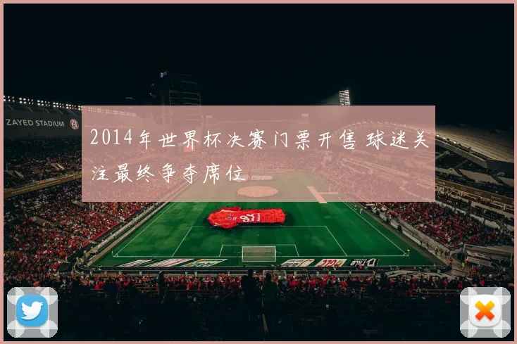 2014年世界杯决赛门票开售 球迷关注最终争夺席位